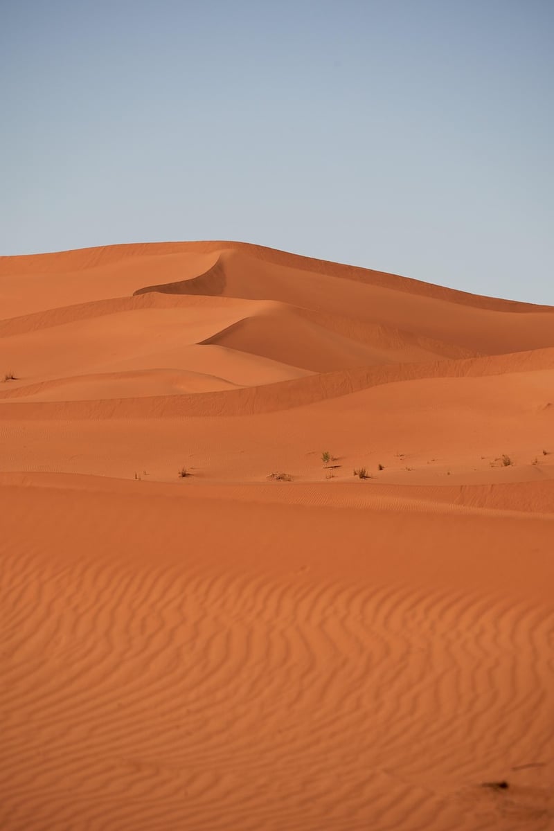 Desert Oasis